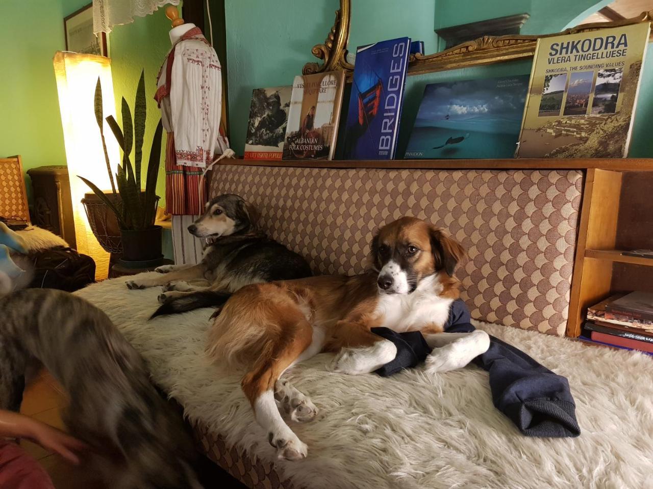 Mi Casa Es Tu Casa - Shkodra Backpackers Hostel Екстер'єр фото